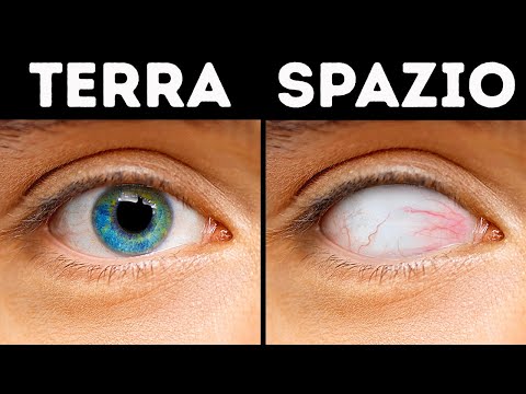 Maratona di 100+ fatti casuali: Quante ne sapevi?