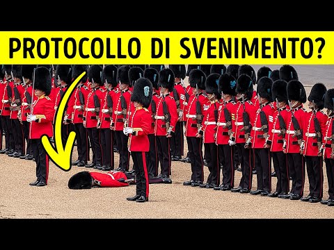 101 fatti che vi faranno sentire immediatamente più intelligenti