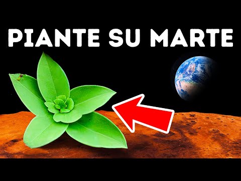 Ecco Cosa Ci Vuole Per Rendere Marte Simile Alla Terra