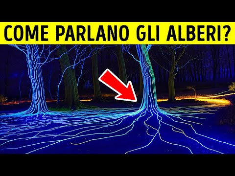 Le Piante Parlano, Ma Noi Non Le Sentiamo