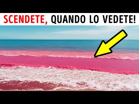 Fenomeni terrestri che possono far paura a chiunque