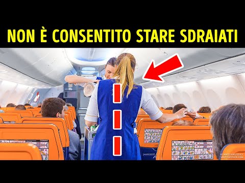 101 fatti casuali con cui riempire il cervello