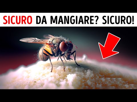 Video imperdibili che potresti esserti perso: Guarda ora
