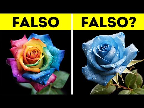 Come Nascono i Fiori dai Colori Strani