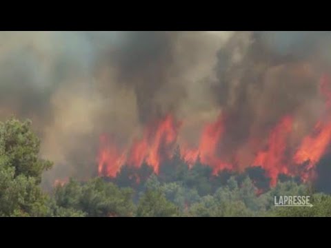 Giganteschi incendi ad Atene: le immagini della devastazione