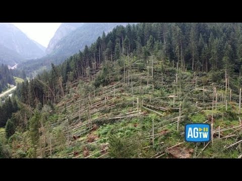 I danni del maltempo nel Comelico: le immagini dal drone