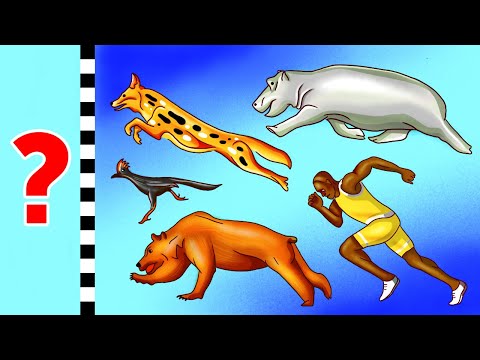 50+ fatti che vi apriranno gli occhi sul mondo animale