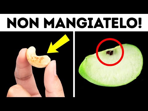 100+ fatti insoliti che non sapevate di voler conoscere