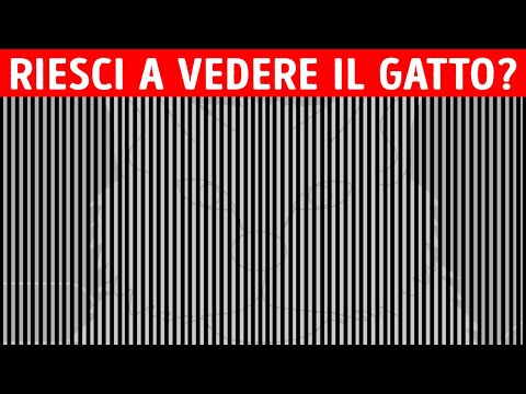 Queste illusioni ottiche dimostrano che il cervello è un mago