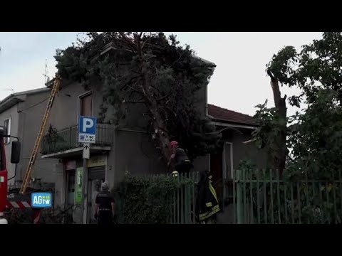 Maltempo a Milano, un albero cade sopra un’abitazione a Cormano. L’intervento dei vigili del…