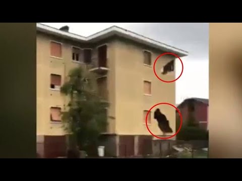 Tromba d’aria, le immagini di una casa sventrata dalla furia del vento a Seregno