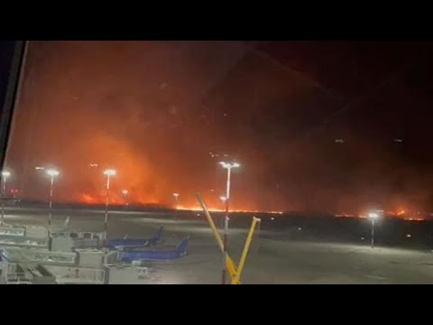 Incendio attorno all’aeroporto di Palermo: le immagini dello scalo bloccato