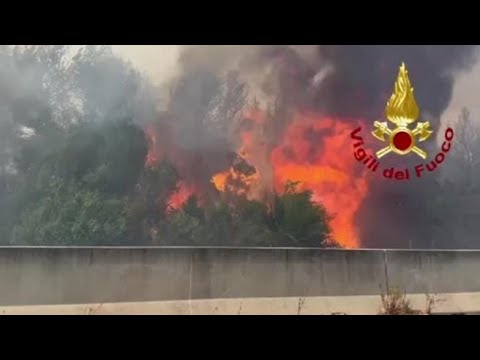 Roghi nel Gargano, evacuate 2 mila persone a Vieste