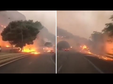 Il fuoco invade la corsia: fiamme lungo l’autostrada A29 Palermo-Mazara