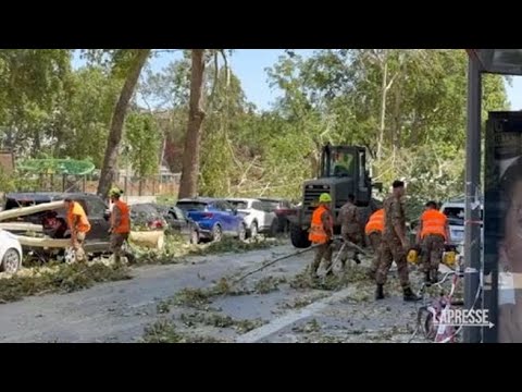 A Milano l’esercito in azione per sgomberare le strade dagli alberi