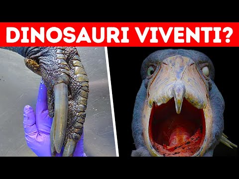 Queste creature che fanno rizzare i capelli vi faranno correre dall’altra parte