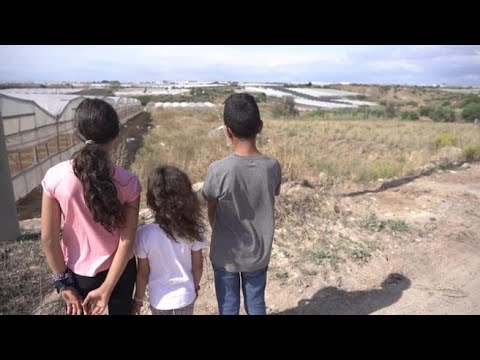 Invisibili e senza diritti: le storie dei figli dei braccianti in condizioni di schiavitù