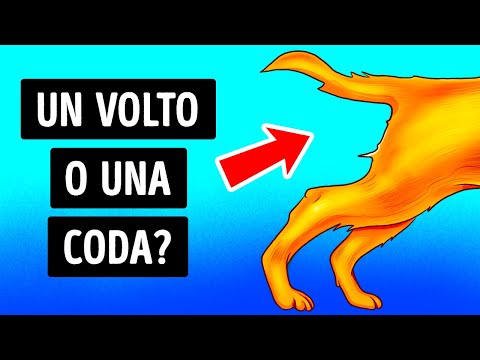 20+ illusioni ottiche che vi faranno guardare due volte