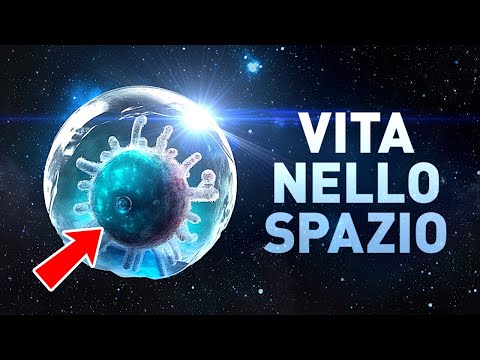 5 Luoghi del nostro Sistema Solare che Potrebbero Ospitare la Vita
