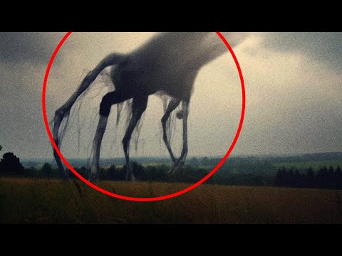 Cosa Succederebbe Se i Livelli di Ossigeno sulla Terra Salissero al 50%?