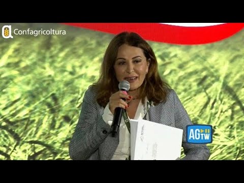 Santanchè: «Passo indietro? Non capisco perché dovrei. Sono tranquilla, solo bugie sui giornali»