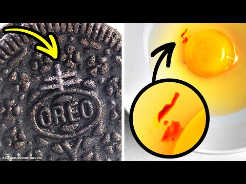 100+ fatti casuali che ho trovato cercando su Google tutta la notte