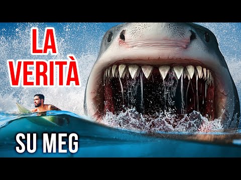 I fatti sugli squali vi faranno pensare due volte a nuotare nell’oceano