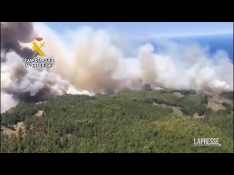 Spagna, incendio a La Palma: le immagini aeree della foresta che brucia