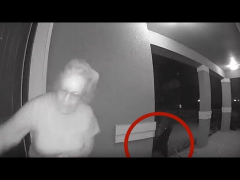 Apre la porta di casa e si trova davanti un grosso orso nero