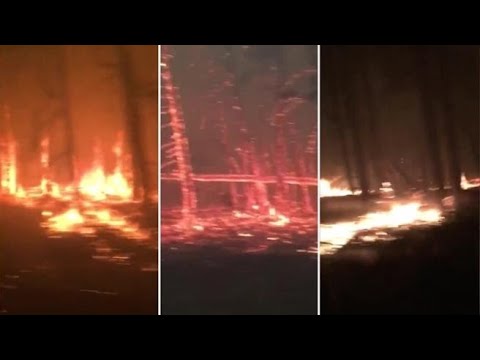 I tronchi degli alberi come tizzoni ardenti: le immagini dei devastanti incendi in Canada