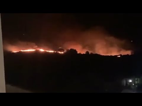 Brucia anche l’isola d’Elba: evacuati per precauzione campeggi e residence