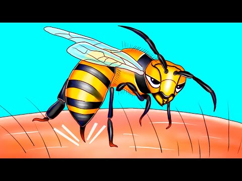 Piccoli eroi: svelare la vita segreta di api e insetti