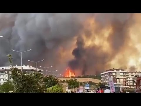 Le immagini dei vasti incendi in Turchia: più di mille persone sono state evacuate