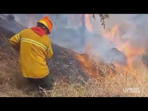 Sulle Ande in Perù un rogo durato 4 giorni: in fumo più di 200 ettari di terreno