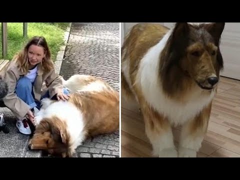 In Giappone un uomo ha speso 15mila dollari per trasformarsi in un cane
