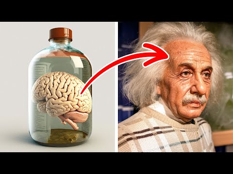 Le principali scoperte di Einstein e altri fatti storici che forse non conoscete