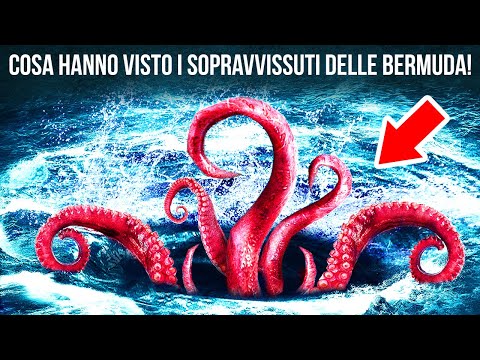 Relitti e mostri marini: Svelare l’enigma del Triangolo delle Bermuda!