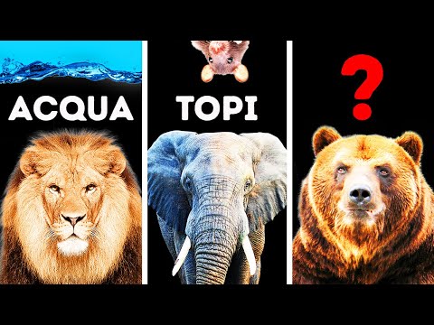 Meraviglie selvagge: Alla scoperta del lato sorprendente ed eccentrico di animali e piante