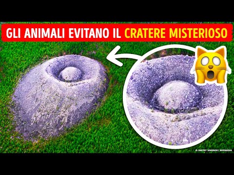 Nel bosco: Attenzione a questo oggetto misterioso!