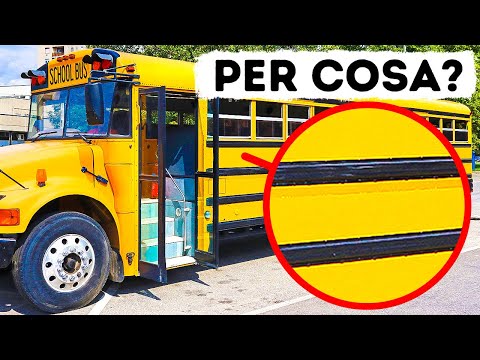 Dai misteri alle meraviglie: Esplorare i segreti sorprendenti che ci circondano!