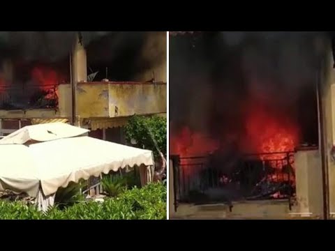 Quattro cani sono morti carbonizzati nell’incendio in casa della responsabile della Leidaa di…