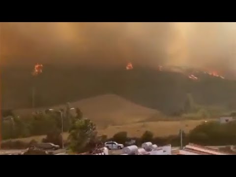 In fiamme la costa nord orientale della Sardegna: roghi a Posada e Siniscola