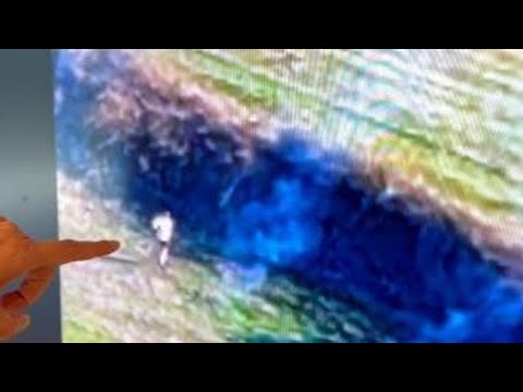 Bimbo piromane appicca un incendio, il presidente della Regione Calabria posta sui social il…