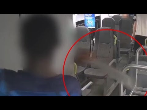 Rapinano a colpi di machete i passeggeri di un treno regionale a Lecco: arrestati due ventenni