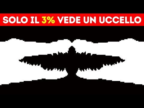Illusioni a bizzeffe: Preparatevi a farvi ingannare dalla vostra mente