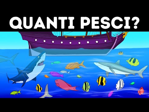 Ho Impiegato ore per Risolvere Questo Indovinello, Tu sei Più Veloce?