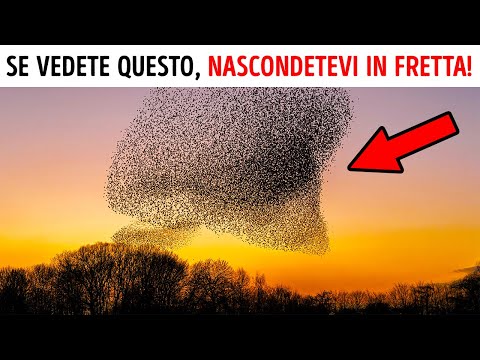 Queste cose spaventose ma naturali accadono sulla Terra ogni giorno