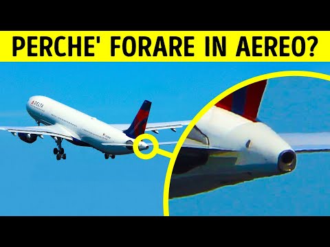 85 Domande sul perché che ho dovuto cercare su Google alle 4 del mattino