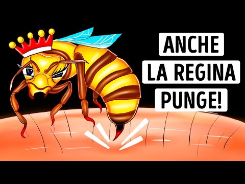 Perché la puntura dell’ape regina può essere più pericolosa? State all’erta!