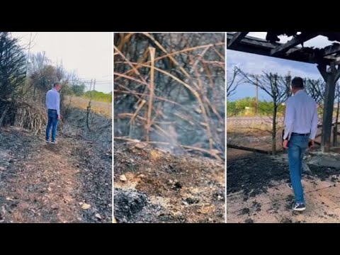 Calabria, bruciata la casa del presidente Occhiuto: «Andiamo avanti»